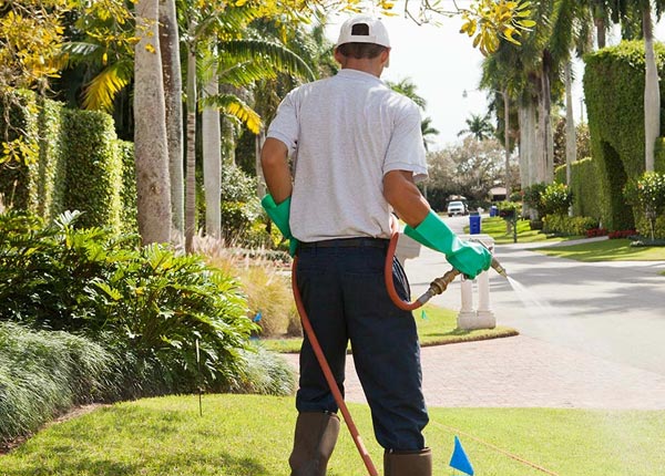 About Centerport NY Pest Control Pros